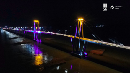 puente violeta 3.jpg