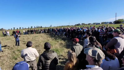 "Pastoreo no selectivo", una opción para pequeños y medianos productores ganaderos