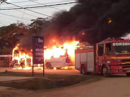 colectivo.jpg