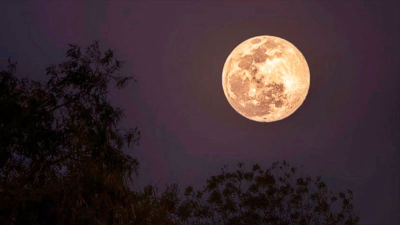 Superluna de Ciervo: uno de los fenómenos más esperados