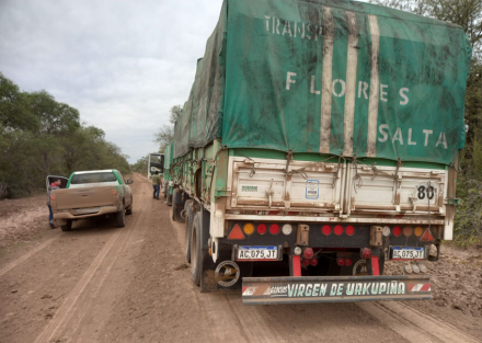 madera-para-salta.jpg