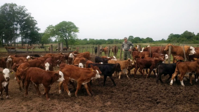 "Hablan de modelo agroexportador, pero definido ideológicamente"