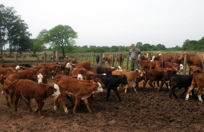"Hablan de modelo agroexportador, pero definido ideológicamente"