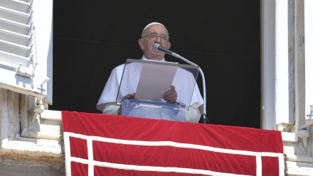 francisco.jpg