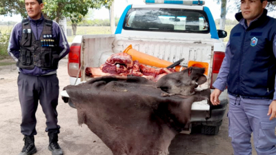 Indignación por cazador que mató a un tapir en Sáenz Peña