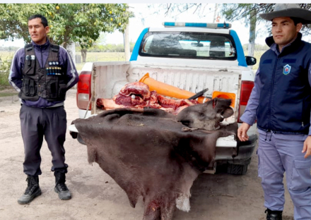 tapir asesinado2.jpg