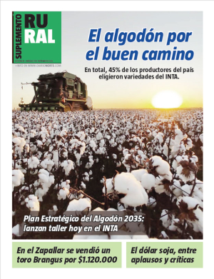 El algodón por el buen camino