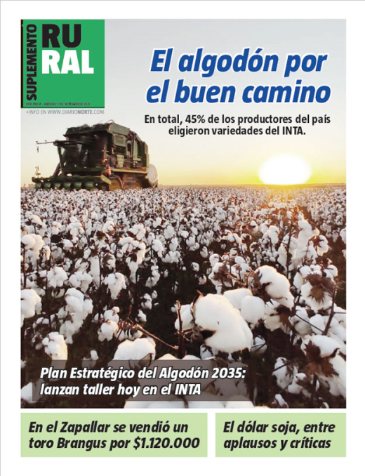 El algodón por el buen camino