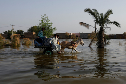 Pakistan09.jpg