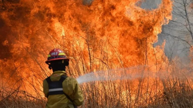 Incendios forestales: el Chaco recibirá $207 millones para el manejo del fuego