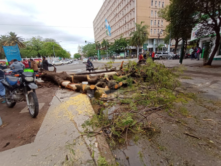 tormentas02.jpg
