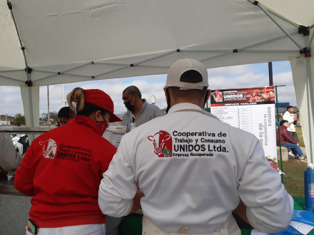 unidos 2.jpg