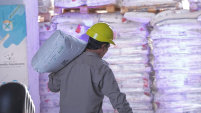 Distribución y calidad de semilla fiscalizada, auguran una exitosa campaña algodonera
