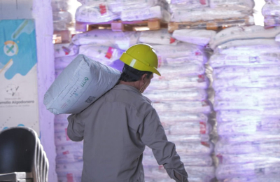 Distribución y calidad de semilla fiscalizada, auguran una exitosa campaña algodonera