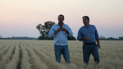 Trigo: Capitanich estimó la siembra de 160.000 hectáreas