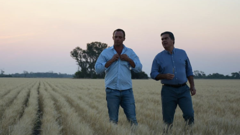 Trigo: Capitanich estimó la siembra de 160.000 hectáreas