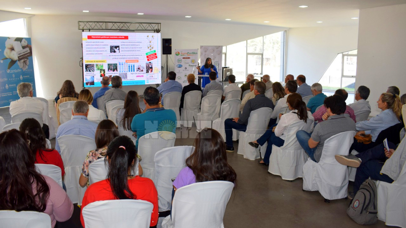 Desafío algodonero en el marco de la Fiesta Nacional del Algodón: Generar nuevas variedades y uso de la Biotecnología