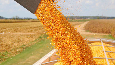 Crean el Programa de Compensación para Pequeños y Medianos Productores de Soja y Maíz