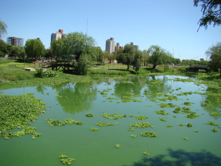 dia soleado laguna arguello.JPG