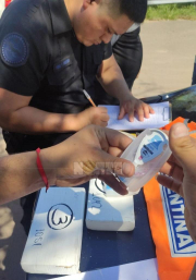 delfin dos.jpg copy