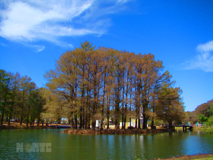 parque2.jpg