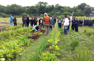 Una chacra con desarrollo agroecológico bajo el paraguas de la permacultura