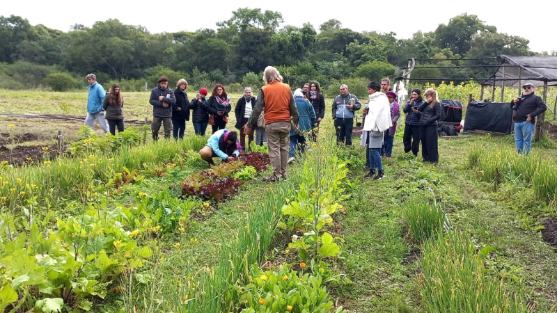 Una chacra con desarrollo agroecológico bajo el paraguas de la permacultura