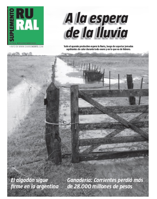 A la espera de la lluvia