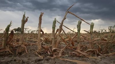 "El panorama es preocupante": el clima no le da tregua al campo y se complica la campaña de soja y maíz