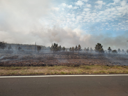humo Ctes 2.jfif