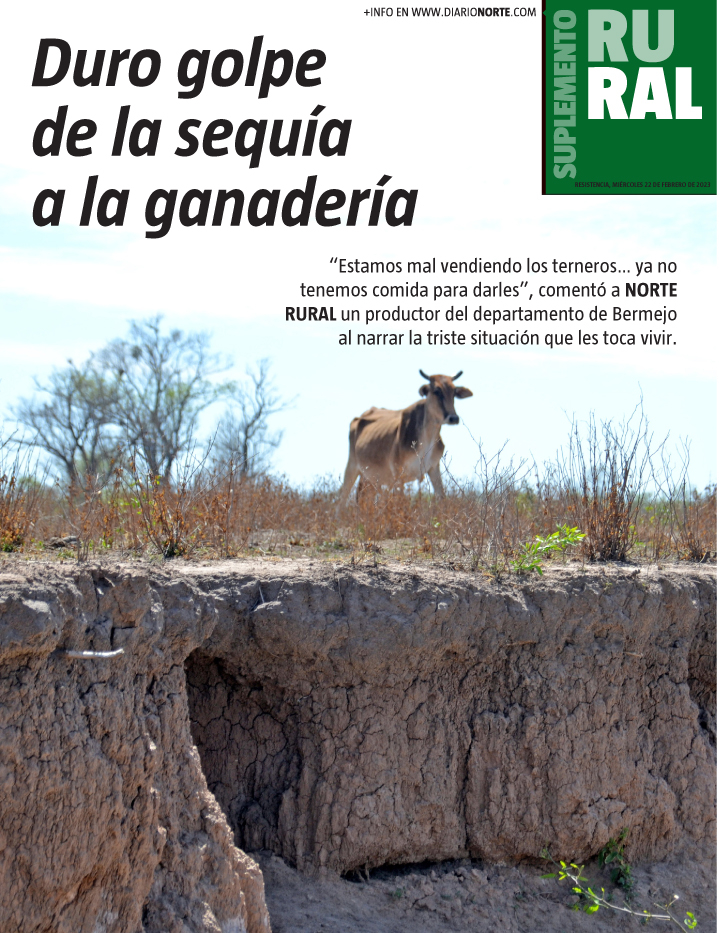Duro golpe de la sequía a la ganadería