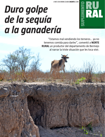 Duro golpe de la sequía a la ganadería