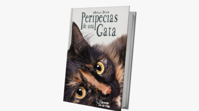 Peripecias de una Gata