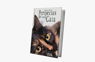 Peripecias de una Gata 