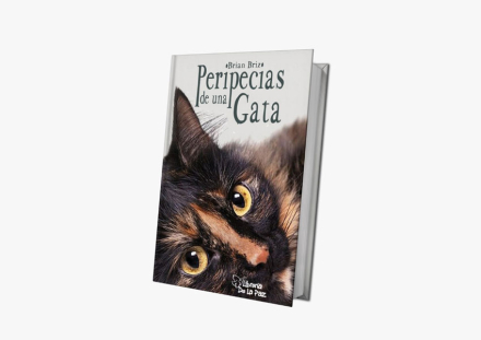 libro.jpg