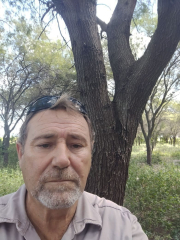 delmiro.jpg