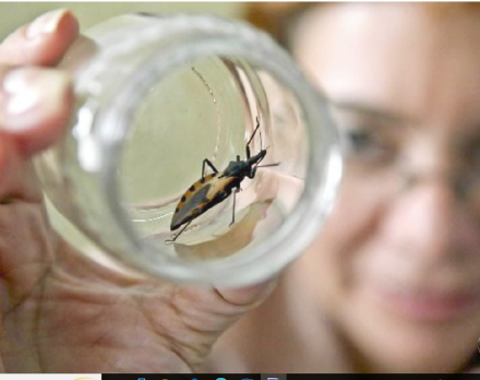 Chagas2.jpg