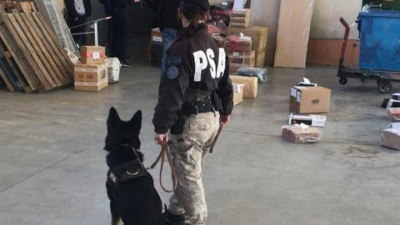 La PSA desbarató una organización que traficaba droga en encomiendas