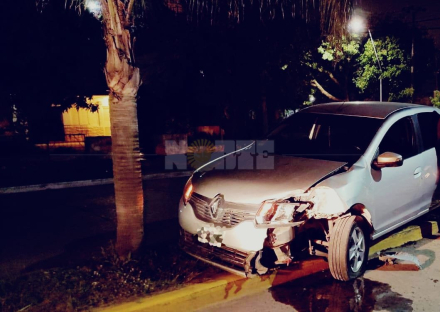 auto choque palmeras.jpg