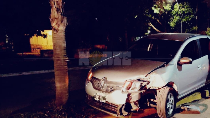 Conducía en aparente estado de ebriedad y chocó una palmera
