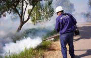 fumigacion-dengue.jpg