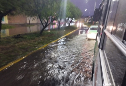 colectivos.jpg