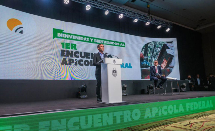 apicola.jpg