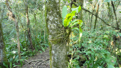 Recuperar nuestra relación con el mundo natural