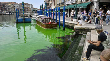 venecia3.jpg