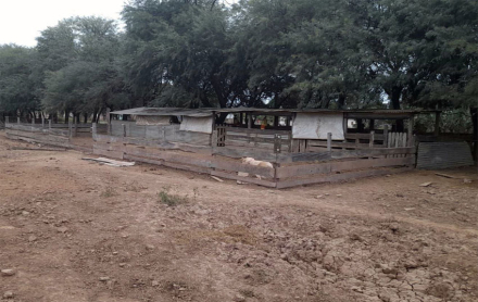 agrotecnica2.jpg