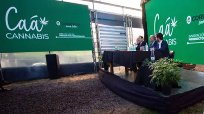 Corrientes apuesta fuerte al aceite de cannabis medicinal