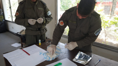 Transportaba cocaína en un colectivo y fue detenida