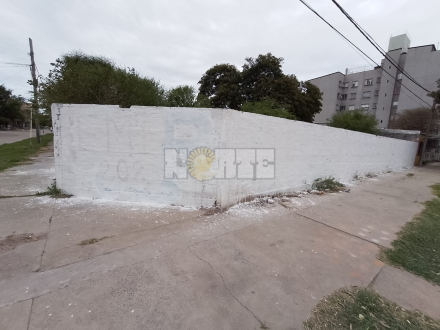 emerenciano pintada tapada.jpg