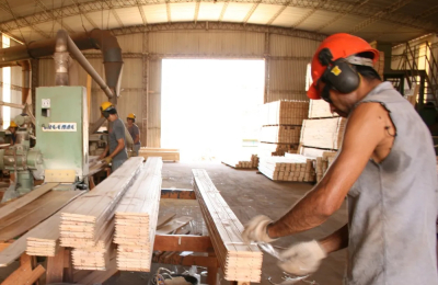Para el sector forestal "la ideología se ha impuesto sobre la producción"